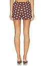 view 4 of 6 SHORT BIBI in Brown Polka Dot