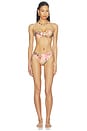 view 4 of 5 BAS DE MAILLOT DE BAIN CLASSIQUE EDIE in Heirloom Rose