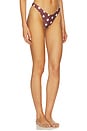 view 2 of 4 Bee Bottom in Brown Polka Dot