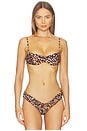 view 1 of 4 Ingrid Top in Leopard Print