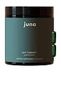 view 1 of 6 Gut Therapy Gut & Brain Boost in 