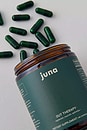 view 2 of 6 Gut Therapy Gut & Brain Boost in 