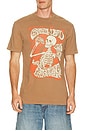 view 1 of 4 T-SHIRT GRATEFUL in Toasted Coconut
