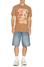 view 3 of 4 T-SHIRT GRATEFUL in Toasted Coconut
