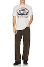 view 4 of 4 Safari 500 Vintage Tee in Dream