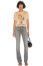 view 5 of 5 Joshua Tree Cactus Tee in Camel