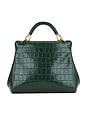 view 3 of 5 Lucia Classic Top Handle Bag in Green Croc