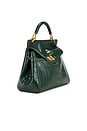 view 4 of 5 Lucia Classic Top Handle Bag in Green Croc
