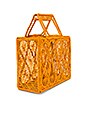 view 3 of 4 SAC PONEDERA in Marigold