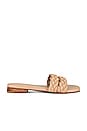 view 1 of 5 Papagayo Sandal in Camel