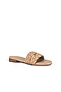 view 2 of 5 Papagayo Sandal in Camel