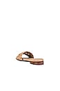 view 3 of 5 Papagayo Sandal in Camel