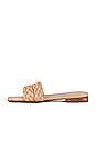 view 5 of 5 Papagayo Sandal in Camel