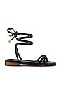 view 1 of 5 Eternity Sandal in Black