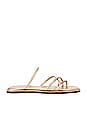 view 1 of 5 Kapok Square-toe Strappy Slide in Gold