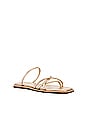 view 2 of 5 Kapok Square-toe Strappy Slide in Gold