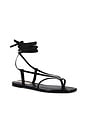 view 2 of 5 Paloma Sandal in Onyx