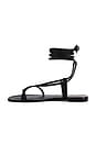 view 5 of 5 Paloma Sandal in Onyx