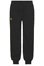 view 1 of 6 PANTALON DE SURVÊTEMENT 222 BANDA NELDO in Black, Yellow, Rich Gold, & White