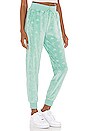 view 2 of 5 x JUICY COUTURE Eco Pant in Green Light Ocean