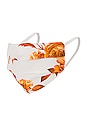 view 1 of 3 Karina Face Mask in Apricot Dalia