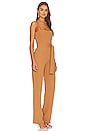 view 2 of 3 Francesca Jumpsuit in Camel