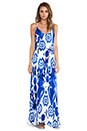 view 1 of 4 Zeila Maxi Dress in Calico