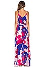 view 3 of 3 Egypt Maxi Dress in Toscana