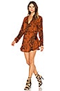 view 1 of 4 Pilar Print Mini Dress in Rust Snake