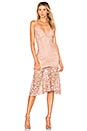 view 1 of 4 Diana Lace Dress in Rose Water