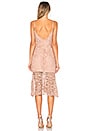 view 3 of 4 Diana Lace Dress in Rose Water