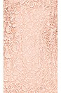 view 4 of 4 Diana Lace Dress in Rose Water