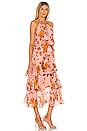 view 3 of 4 Cassandra Print Maxi Dress in Peach Dalia
