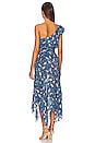 Karina Grimaldi Letizia Print Dress in Azul Garden | REVOLVE