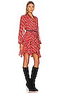 view 2 of 4 Trina Print Mini Dress in Red Stone