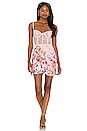 view 1 of 3 Man Whisperer Dress in Blush Floral