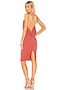 view 1 of 4 Pretty Bird Dress in Tuscan Rose