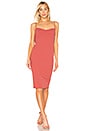 view 2 of 4 Pretty Bird Dress in Tuscan Rose