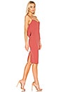 view 3 of 4 Pretty Bird Dress in Tuscan Rose