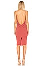 view 4 of 4 Pretty Bird Dress in Tuscan Rose