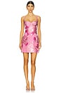 view 1 of 4 Claudette Dress in Pink Peacock