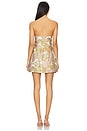 view 3 of 4 Valerie Dress in Guilded Rose