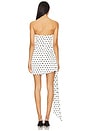 view 4 of 5 Chasing Dawn Dress in Polka Dot