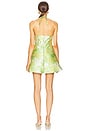 view 3 of 3 Priscilla Dress in Limeade