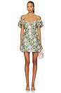 view 1 of 4 Antheia Dress in Garden Tapestry