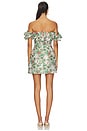 view 3 of 4 Antheia Dress in Garden Tapestry