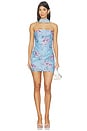 view 1 of 4 VESTIDO ROUX in Steel Blossom