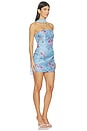 view 3 of 4 VESTIDO ROUX in Steel Blossom