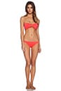 view 4 of 4 Georgica Beach Bikini Bottom in Geranium