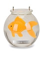 view 4 of 5 Goldfish Bag in Clear